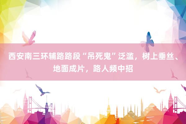 西安南三环辅路路段“吊死鬼”泛滥，树上垂丝、地面成片，路人频中招